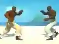 Gioco Capoeira fighter in linea