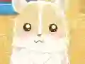 Gioco Hamster Love in linea