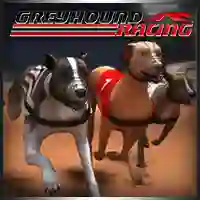 Gioco Greyhound Racing in linea