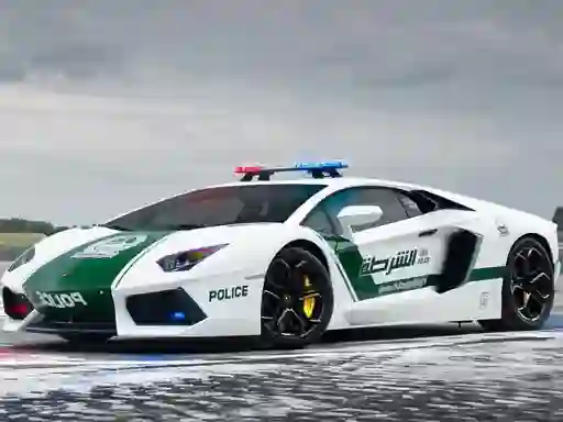 Gioco Police Cars Jigsaw Puzzle in linea