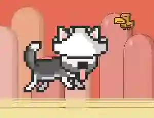 Gioco Mr Jump Husky in linea