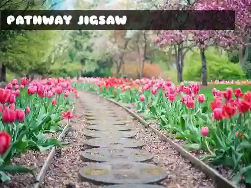 Gioco Pathway Jigsaw in linea
