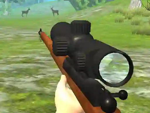 Gioco Hunter 3D in linea