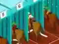 Gioco Derby racing in linea