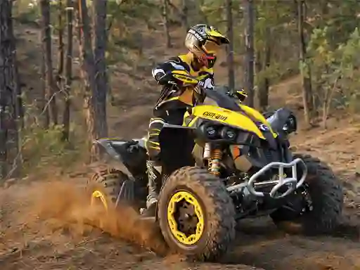 Gioco ATV Offroad Puzzle in linea