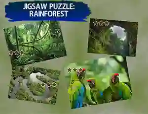 Gioco Jigsaw Puzzle Rain Forest in linea