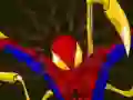 Gioco Spiderman Customization in linea