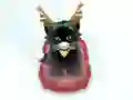 Gioco Pet Sledding in linea