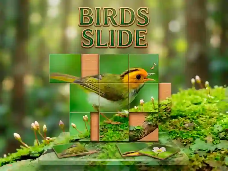 Gioco Birds Slide in linea