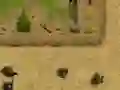 Gioco Ambush in linea