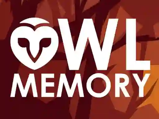 Gioco Owl Memory in linea
