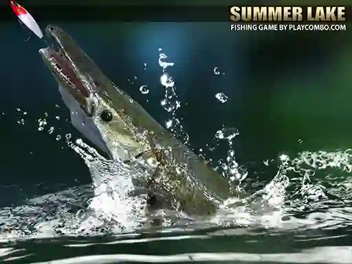Gioco Summer Lake 1.5 in linea