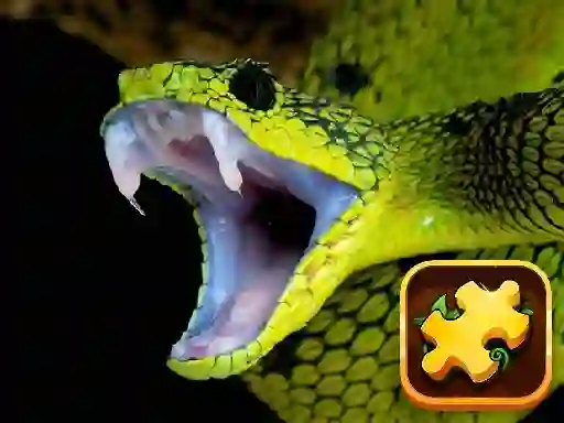 Gioco Snake Puzzle Challenge in linea