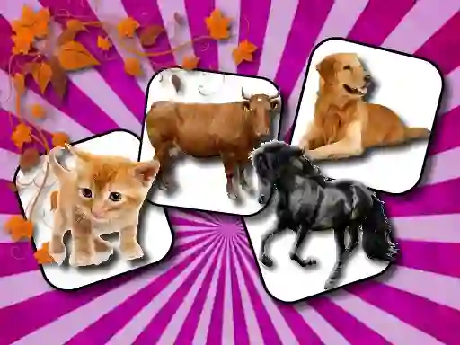 Gioco Domestic Animal Memory Challenge in linea
