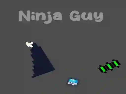 Gioco Ninja Guy in linea