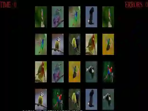 Gioco Memorize the birds in linea