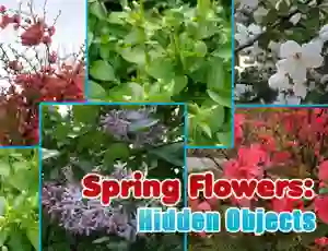 Gioco Spring Flowers: Hidden Objects in linea