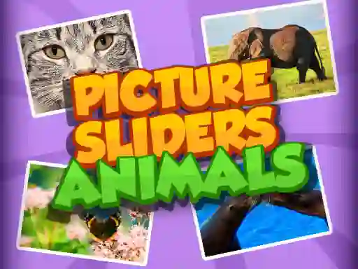Gioco Picture Slider Animals in linea