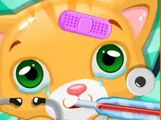 Gioco Little Cat Doctor in linea