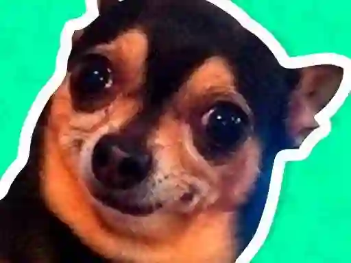 Gioco What meme dog are you ? in linea