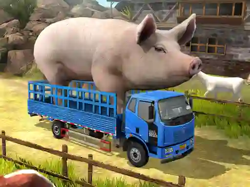 Gioco Driver Master Simulator in linea