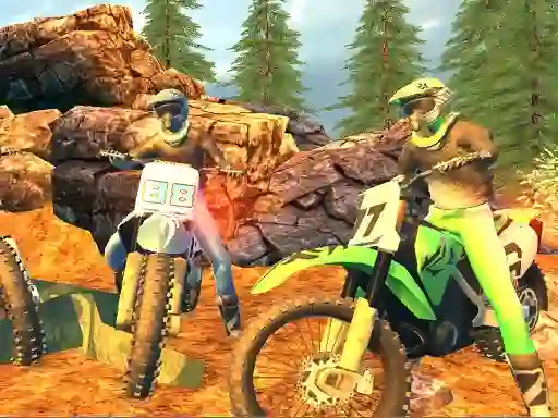 Gioco Offroad Motorcycle Bike Racing 2020 in linea