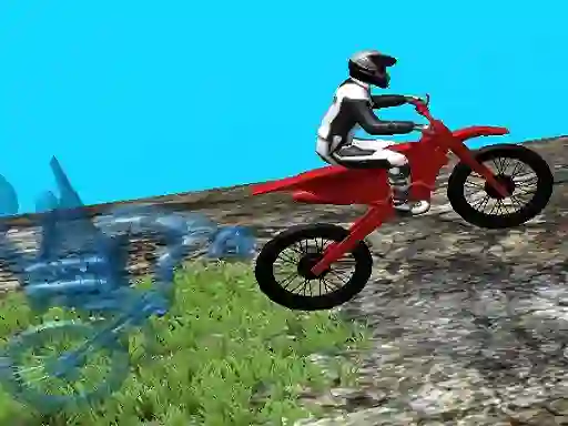 Gioco Forest Bike Trials 2019 in linea