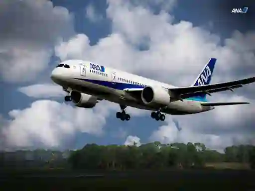 Gioco Boeing Dreamliner Puzzle in linea