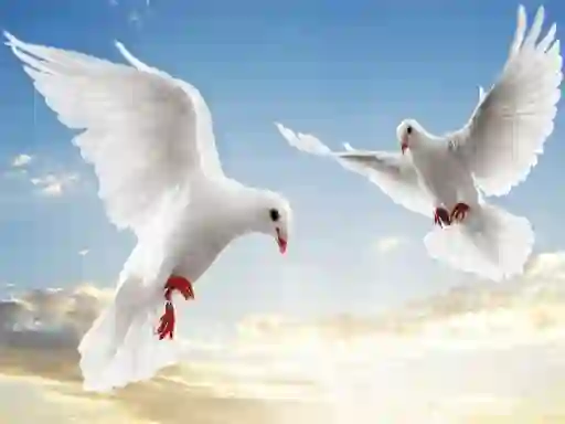 Gioco Flying Birds in linea