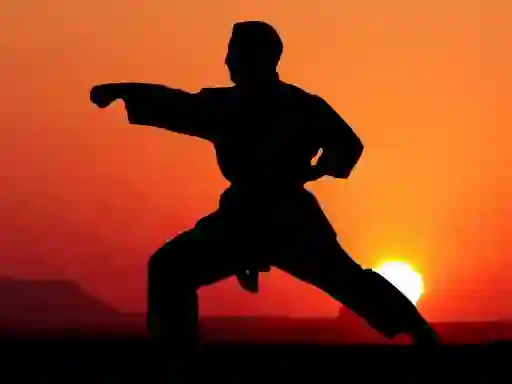 Gioco Karate Sunset Warriors in linea