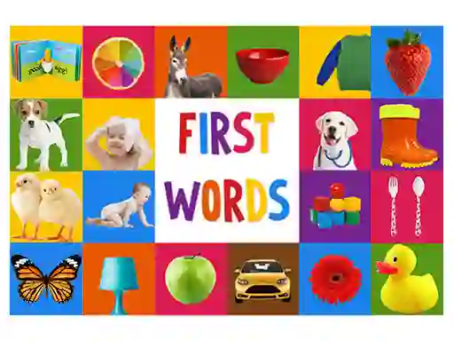 Gioco First Words in linea