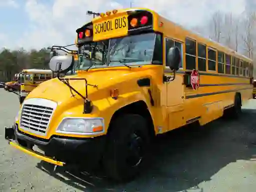 Gioco School Buses Puzzle in linea
