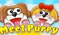 Gioco Meet Puppy in linea