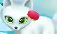 Gioco Paws to Beauty Arctic Edition in linea