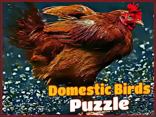 Gioco Domestic Birds Puzzle in linea