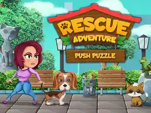 Gioco Rescue Adventure Push Puzzle in linea