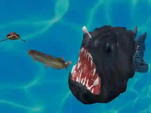 Gioco Fish 3d in linea