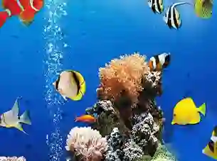 Gioco Sea Underwater Difference in linea