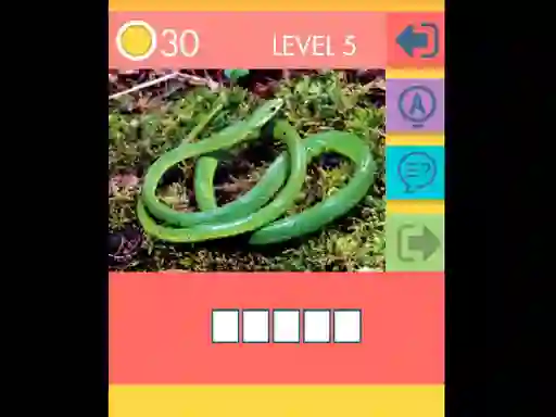 Gioco 15 Picture Quiz in linea