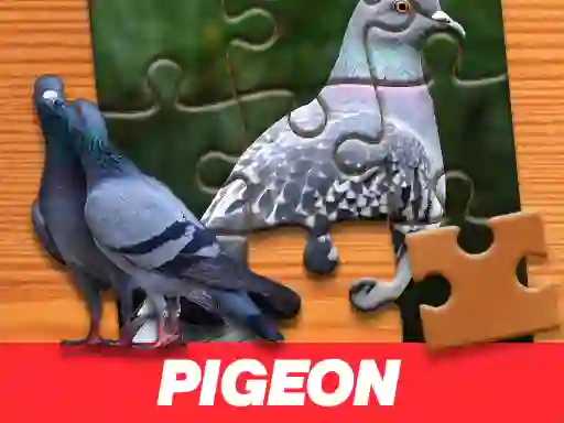 Gioco Pigeon Jigsaw Puzzle in linea
