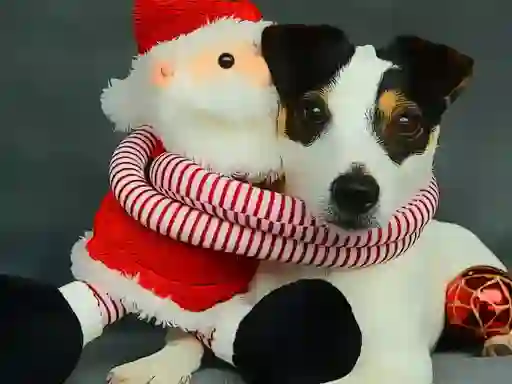 Gioco Funny Christmas Dogs in linea