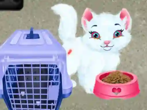 Gioco Baby Taylor Pet Care in linea