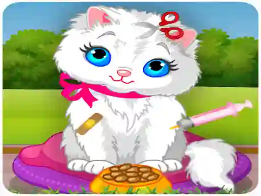 Gioco Vet Cat Clinic in linea