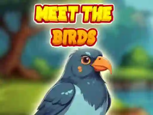 Gioco Meet The Birds in linea