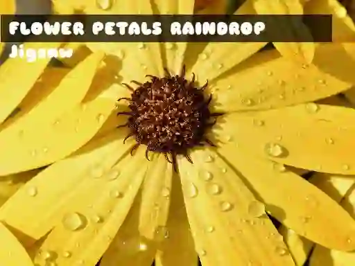 Gioco Flower Petals Raindrop Jigsaw in linea