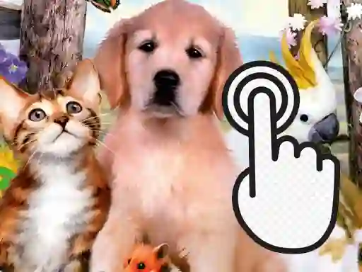 Gioco Pets Clicker in linea