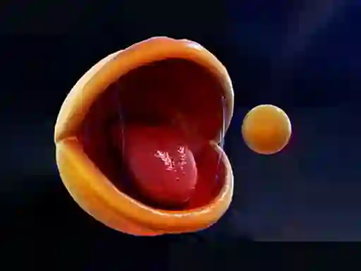 Gioco Pac-Man in linea