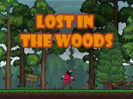 Gioco Lost in the Woods in linea