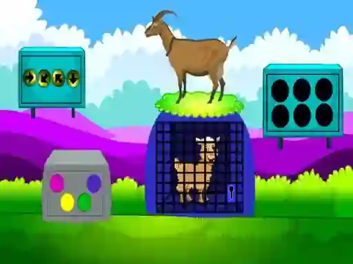 Gioco Lamb Escape in linea