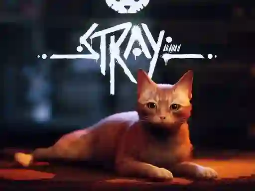 Gioco Stray in linea